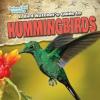 Cover image of A bird watcher's guide to hummingbirds