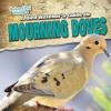 Cover image of A bird watcher's guide to mourning doves