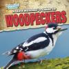 Cover image of A bird watcher's guide to woodpeckers