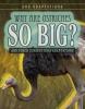 Cover image of Why are ostriches so big?