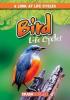 Cover image of Bird life cycles