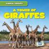 Cover image of A tower of giraffes