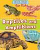 Cover image of Reptiles and amphibians
