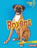 Cover image of Boxers