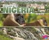 Cover image of Let's look at Nigeria