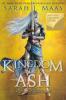 Cover image of Kingdom of ash