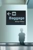 Cover image of Baggage