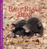 Cover image of Baby black bear