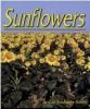 Cover image of Sunflowers