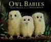 Cover image of Owl babies