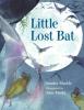 Cover image of Little lost bat
