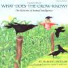 Cover image of What does the crow know?