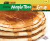 Cover image of From maple tree to syrup