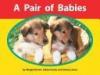 Cover image of A Pair of Babies