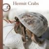 Cover image of Hermit crabs