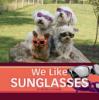 Cover image of We like sunglasses