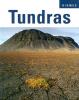 Cover image of Tundras