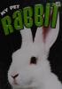 Cover image of Rabbit