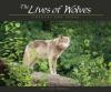 Cover image of The lives of wolves