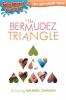 Cover image of The Bermudez Triangle