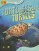 Cover image of Tortoises and turtles