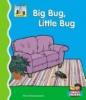 Cover image of Big bug, little bug