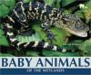 Cover image of Baby animals of the wetlands