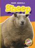 Cover image of Sheep