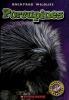 Cover image of Porcupines