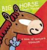 Cover image of Big horse small mouse