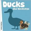 Cover image of Ducks and ducklings