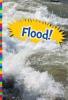 Cover image of Flood!