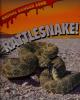 Cover image of Rattlesnake!