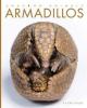 Cover image of Armadillos