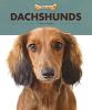 Cover image of Dachshunds