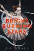 Cover image of Bright burning stars