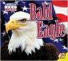 Cover image of Bald eagle