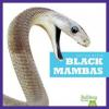 Cover image of Black mambas