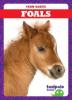 Cover image of Foals