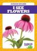 Cover image of I see flowers
