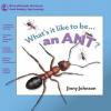Cover image of What's it like to be-- an ant?