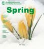 Cover image of Spring