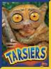 Cover image of Tarsiers