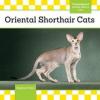 Cover image of Oriental shorthair cats