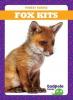 Cover image of Fox kits