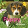 Cover image of Puppy
