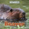 Cover image of Beaver