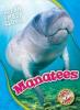 Cover image of Manatees