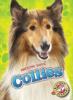 Cover image of Collies