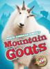 Cover image of Mountain goats